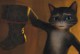 /plume/xmedia/fantasy/news/shrek/thumb/kittysoftpaws_thumb.jpg