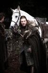 Ned