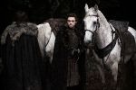 Robb