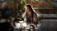 /plume/xmedia/fantasy/news/television/TDF/photos/thumb/sansa2_thumb.jpg