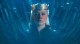 /plume/xmedia/fantasy/news/television/TDF/prequelle/thumb/rhaenyra_house_of_the_dragon_2_thumb.jpg
