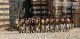 /plume/xmedia/fantasy/news/television/TDF/saison2/thumb/GoT_s2_qarth_thumb.jpg