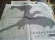 /plume/xmedia/fantasy/news/television/TDF/saison3/thumb/1xvtzEL_thumb.jpg