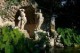 /plume/xmedia/fantasy/news/television/TDF/saison3/thumb/Arboretum-Trsteno_thumb.jpg