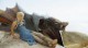 /plume/xmedia/fantasy/news/television/TDF/saison4/thumb/game-of-thrones-season-4-episode-1_thumb.jpg