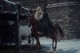 /plume/xmedia/fantasy/news/television/netflix/Witcher/saison2/thumb/thwwitcher_138_thumb.jpg