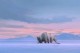 /plume/xmedia/fantasy/news/television/netflix/thumb/avatar-the-last-airbender_thumb.jpg
