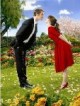 /plume/xmedia/fantasy/news/television/thumb/pushingdaisies_thumb.jpg