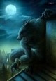 /plume/xmedia/fantasy/news/television/thumb/werewolf-citiy_thumb_thumb.jpg
