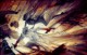 /plume/xmedia/fantasy/news/thumb/The_Mistborn_by_lone_momo_thumb.jpg