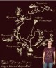 /plume/xmedia/fantasy/news/thumb/evolution-dragons_thumb.jpg