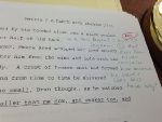 DwD manuscrit