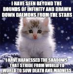 Kitten