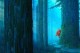 /plume/xmedia/fantasy/news/zapping/2018/thumb/1282014_Missing_Link_1st_look_thumb.jpg