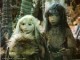 /plume/xmedia/fantasy/news/zapping/photos-vrac/thumb/crystal_thumb.jpg