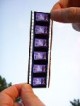 /plume/xmedia/fantasy/news/zapping/thumb/filmstrip_thumb.jpg