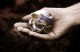 /plume/xmedia/fantasy/news/zapping/thumb/worldbuilding_thumb.jpg