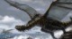 /plume/xmedia/fantasy/news/zapping/thumb/xlarge_notavatartop_thumb.jpg