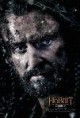 /plume/xmedia/film/news/bilbo/affiches/thumb/BzroIDYCYAMICdB.jpg_large_thumb.jpg
