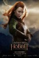 /plume/xmedia/film/news/bilbo/affiches/thumb/Hobbit_french5_thumb.jpg