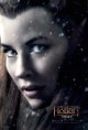 /plume/xmedia/film/news/bilbo/affiches/thumb/hobbit3_10_thumb.jpg