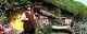 /plume/xmedia/film/news/bilbo/aicn/thumb/MrChubbSm_thumb.jpg