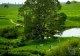/plume/xmedia/film/news/bilbo/aicn/thumb/PartyTree_thumb.jpg