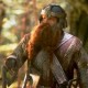 /plume/xmedia/film/news/bilbo/casting/thumb/gimli_thumb.jpg