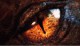 /plume/xmedia/film/news/bilbo/desolation-photos/thumb/Smaug_marquee_thumb.jpg