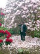/plume/xmedia/film/news/bilbo/lieuxdetournage/thumb/111130-flowers-m_thumb.jpg