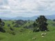/plume/xmedia/film/news/bilbo/lieuxdetournage/thumb/3b46d665-c9c9-408b-8a39-2684fe6e001b-sheepx_thumb.jpg