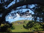 Hobbitbourg 2