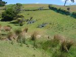 Hobbitbourg 1