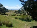 Hobbitbourg 4