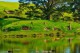 /plume/xmedia/film/news/bilbo/lieuxdetournage/thumb/Tour-from-The-Shires-Rest-Cafe-Hobbiton-Movie-Set-Farm-Tours_thumb.jpg