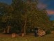/plume/xmedia/film/news/jeux-video/thumb/BrockenboringsOrchard1_thumb.jpg