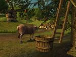 Orchard