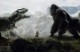 /plume/xmedia/film/news/king-kong/thumb/kong_iup2_thumb.jpg