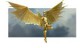 /plume/xmedia/film/news/thumb/PL_C_01_thumb.jpg
