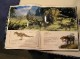 /plume/xmedia/film/news/thumb/comiccon05_kk6_thumb.jpg
