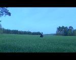 Le Nain solitaire