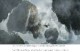 /plume/xmedia/film/news/weta/thumb/avtr-385_thumb.jpg