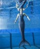 /plume/xmedia/film/news/weta/thumb/sirene_weta_thumb.jpg