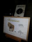 outrepasseurs