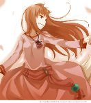 Holo4