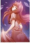 Holo2