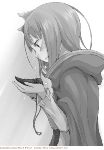 Holo3