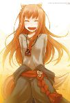 Holo1