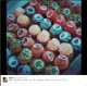 /plume/xmedia/newsAlethia/thumb/DSC_0449-22_thumb.jpg