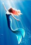 ariel